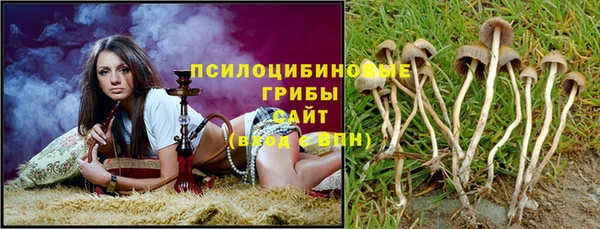Альфа ПВП Новозыбков
