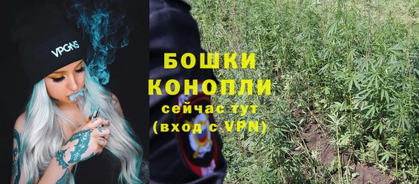 Альфа ПВП Новозыбков