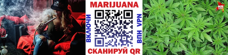 Каннабис планчик Шиханы